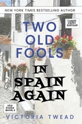 Cover: Two Old Fools in Spain Again - LARGE PRINT - Ant Press