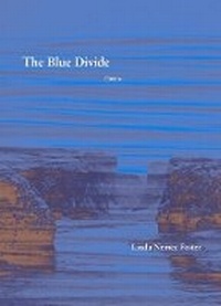 Enlarge image Cover: The Blue Divide - Poems - Western Michigan University, New Issues Press