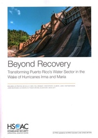 Enlarge image Cover: Beyond Recovery - RAND