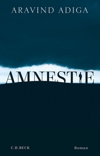 Abbildung von: Amnestie - C.H.BECK