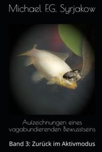 Abbildung von: Aufzeichnungen eines vagabundierenden Bewusstseins - MFG Syrjakow Verlag