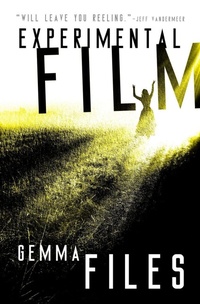 Enlarge image Cover: Experimental Film - Open Road Media