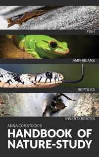 Abbildung von: The Handbook Of Nature Study in Color - Fish, Reptiles, Amphibians, Invertebrates - Living Book Press
