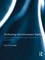 Cover: Vindicating Socio-Economic Rights - Routledge