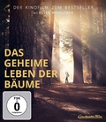 Cover: Das geheime Leben der B&auml;ume - Constantin Film