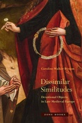 Cover: Dissimilar Similitudes - Zone Books