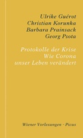 Cover: Protokolle der Krise - Picus Verlag