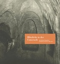 Cover: Blitzlicht in der Unterwelt - Fotohofedition