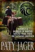Cover: Gabriel Hawke Novels Books 1-3 - Windtree Press