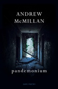 Cover: pandemonium - Vintage Digital