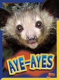 Cover: Aye-Ayes - Black Rabbit Books