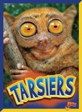 Cover: Tarsiers - Black Rabbit Books