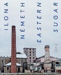 Cover: Ilona Nemeth - Sternberg Press