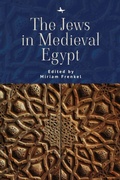 Cover: The Jews in Medieval Egypt - Academic Studies Press