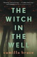 Cover: The Witch In The Well - Tor Books