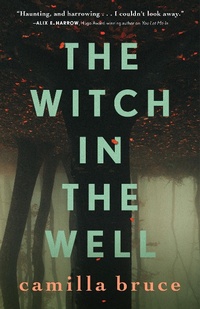 Abbildung von: The Witch In The Well - Tor Books