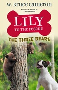 Cover: Lily to the Rescue: The Three Bears - Odd Dot