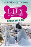 Cover: Lily to the Rescue: Foxes in a Fix - Odd Dot