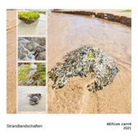 Abbildung von: Strandlandschaften (édition carré, Wandkalender 2021, 20x20 cm, Quadrat) - Olaf Schulz Verlag