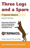 Cover: Three Legs and a Spare - Agreda Communications