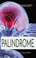 Cover: Palindrome - RaedeneWrites