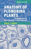 Bild: Anatomy of Flowering Plants - Cambridge University Press