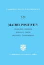 Cover: Matrix Positivity - Cambridge University Press
