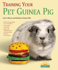 Abbildung von: Training Your Guinea Pig - B.E.S.