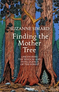 Abbildung von: Finding the Mother Tree - Penguin Books Ltd