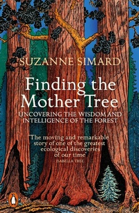 Abbildung von: Finding the Mother Tree - Penguin Books Ltd