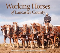 Abbildung von: Working Horses of Lancaster County - Schiffer Publishing Ltd