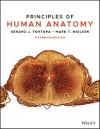 Enlarge image Cover: Principles of Human Anatomy - Wiley