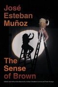 Cover: The Sense of Brown - De Gruyter
