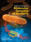 Cover: Snyder and Champness Molecular Genetics of Bacteria - Wiley
