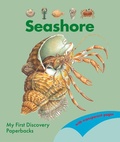 Cover: The Seashore - Moonlight Publishing Ltd