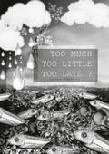 Cover: Too Much Too Little Too Late ? - BoD - Books on Demand