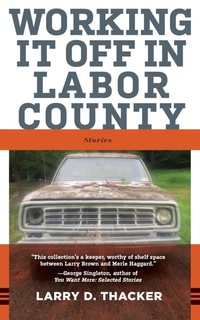 Enlarge image Cover: Working It Off in Labor County - West Virginia University Press