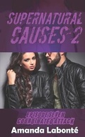 Cover: Coordinated Attack - Engen Books