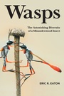 Cover: Wasps - Princeton University Press