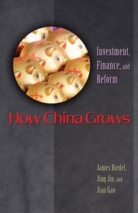 Enlarge image Cover: How China Grows - Princeton University Press