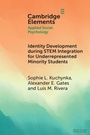 Cover: Identity Development during STEM Integration for Underrepresented Minority Students - Cambridge University Press