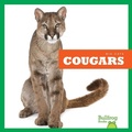 Cover: Cougars - Bullfrog Books