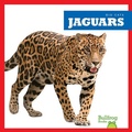 Cover: Jaguars - Bullfrog Books