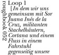 Cover: Loops - Urs Engeler