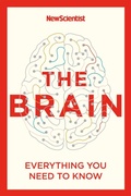 Cover: The Brain - John Murray Publishers Ltd