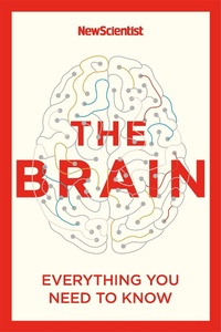 Abbildung von: The Brain - John Murray Publishers Ltd
