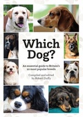 Cover: Which Dog - Distributed By Ingram Spark