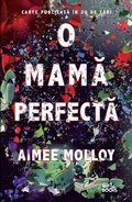 Cover: O mama perfecta - Litera Media Group