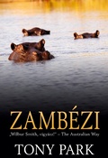 Cover: Zamb&eacute;zi - Gold Book