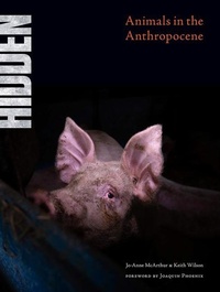 Enlarge image Cover: Hidden - Lantern Books,US